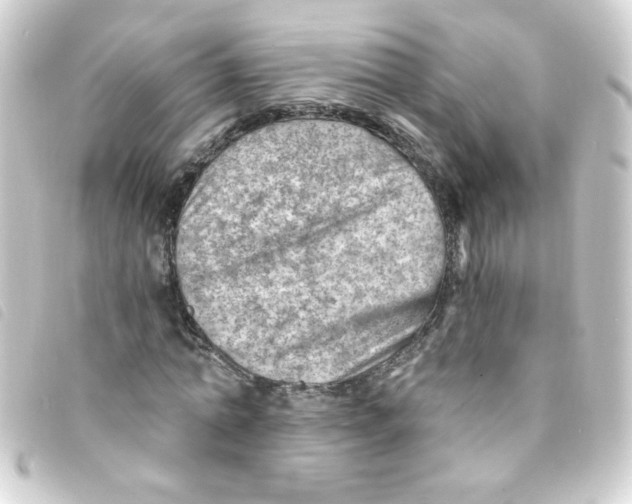 X0000093260774200710241332