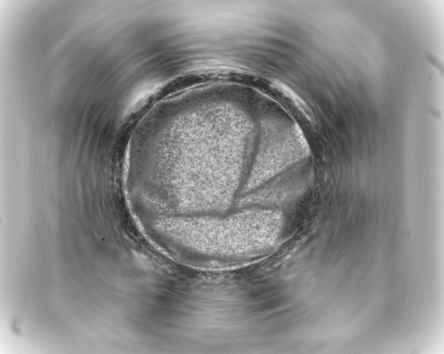 X0000093260775200710241332