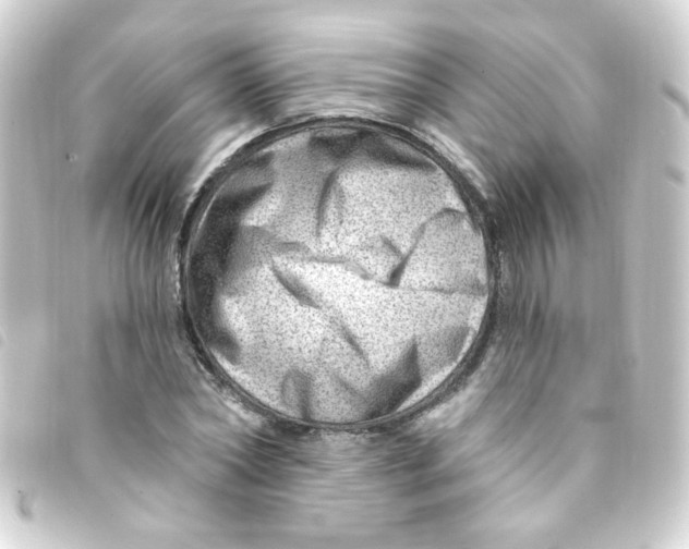 X0000093260782200710241332