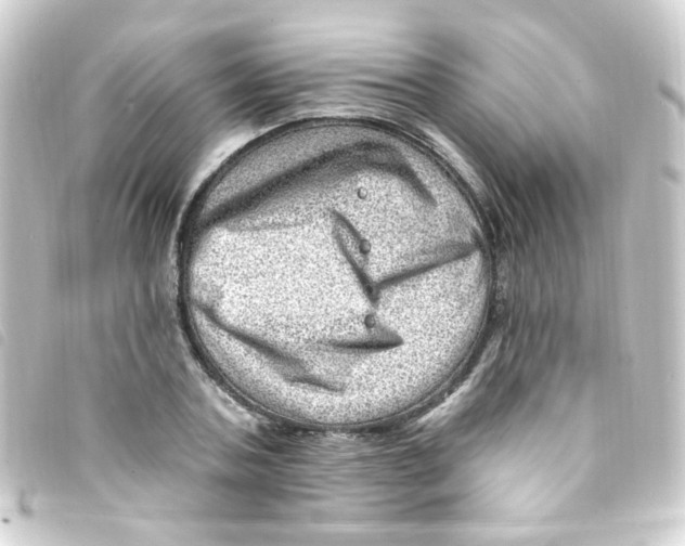 X0000093260787200710241332