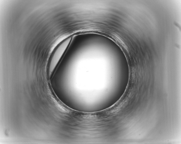 X0000093260789200710241332