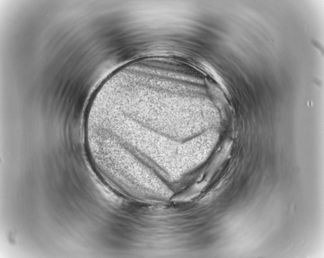 X0000093260795200710241332