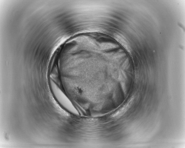 X0000093260797200710241332