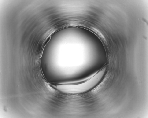 X0000093260801200710241332