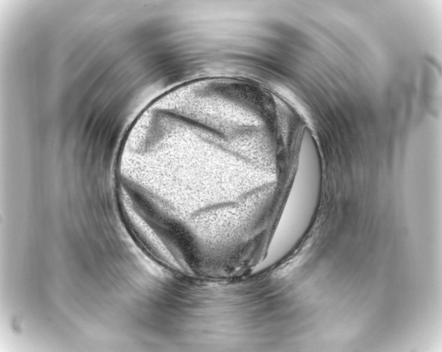 X0000093260803200710241332