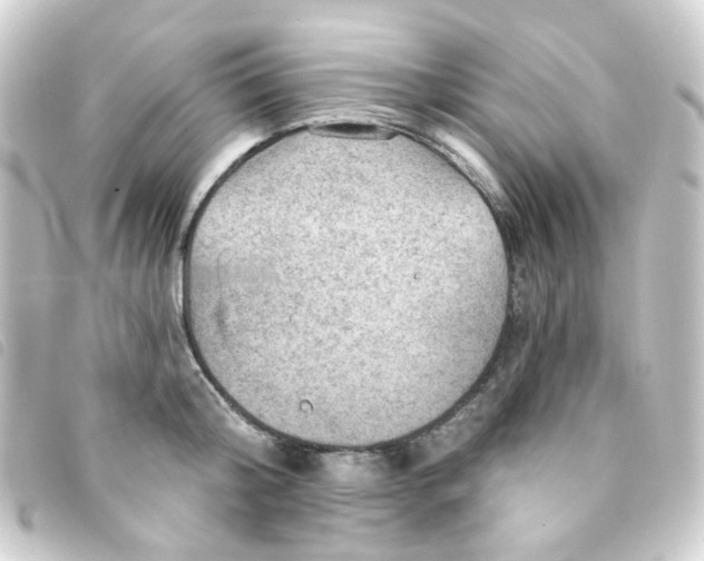 X0000093260804200710241332