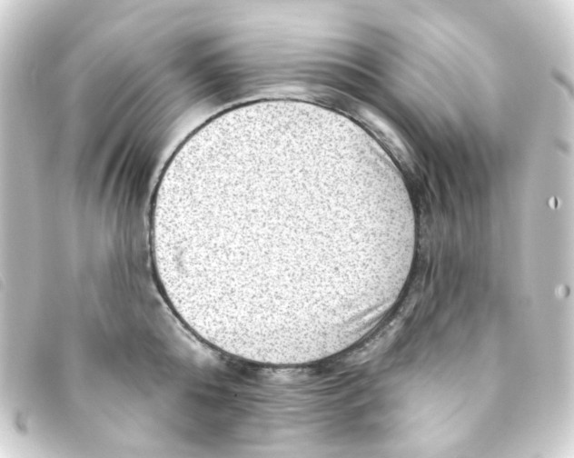 X0000093260808200710241332