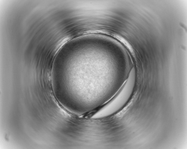 X0000093260809200710241332
