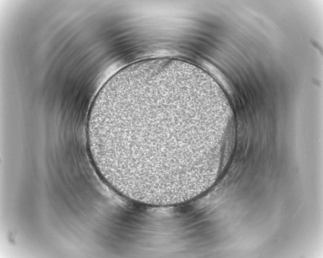 X0000093260810200710241332