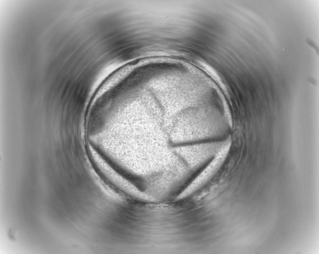 X0000093260811200710241332