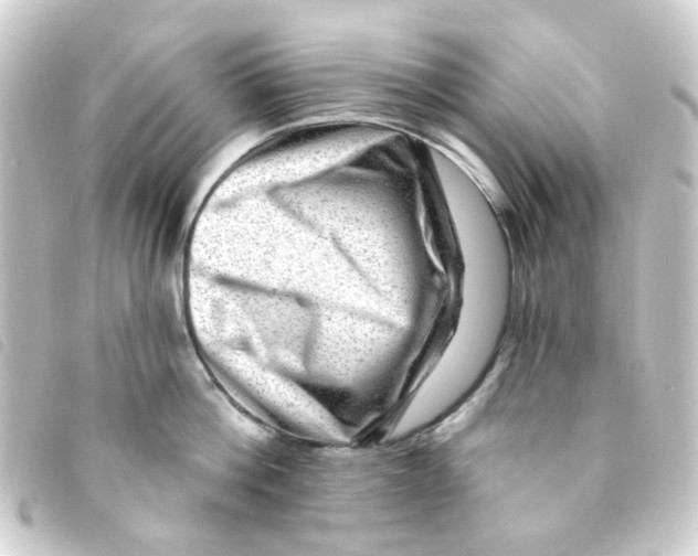 X0000093260812200710241332