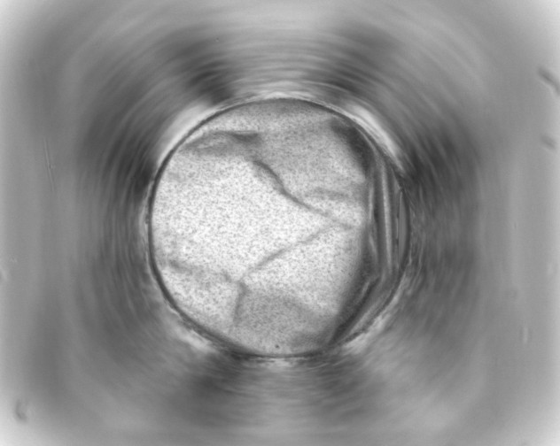 X0000093260814200710241332