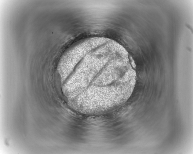 X0000093260817200710241331