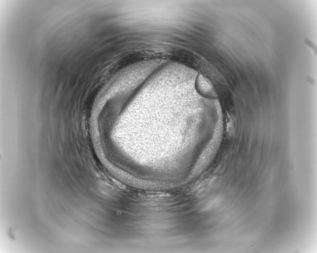 X0000093260819200710241331