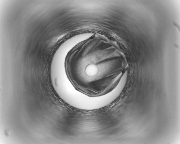 X0000093260822200710241331