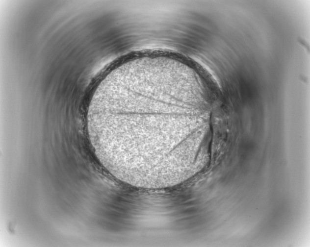 X0000093260823200710241331