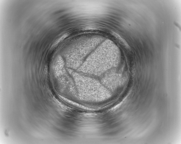 X0000093260825200710241331