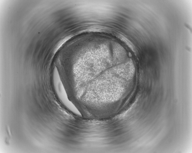 X0000093260829200710241332