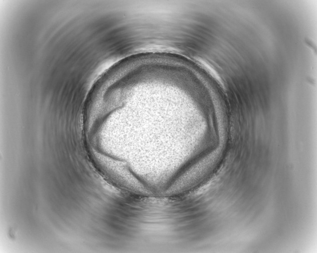 X0000093260831200710241332