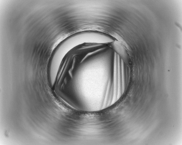 X0000093260834200710241332