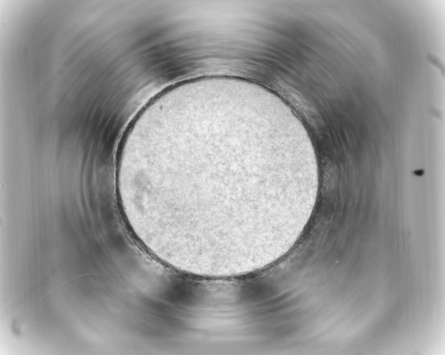 X0000093260836200710241332