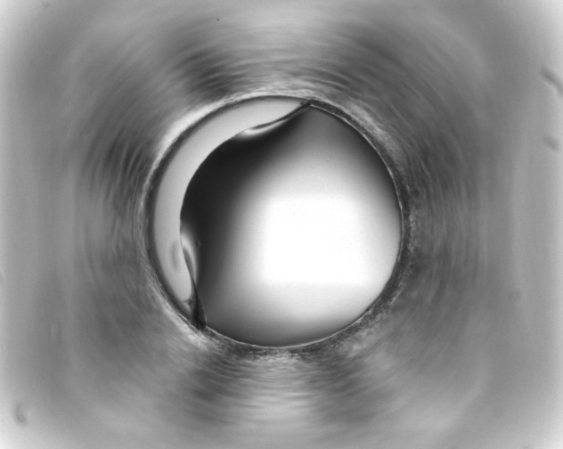 X0000093260838200710241332