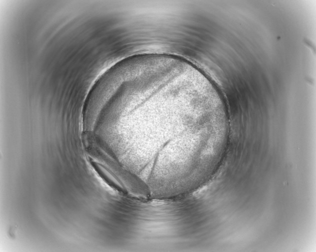 X0000093260839200710241332