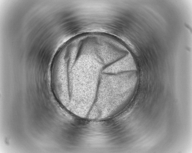X0000093260840200710241332