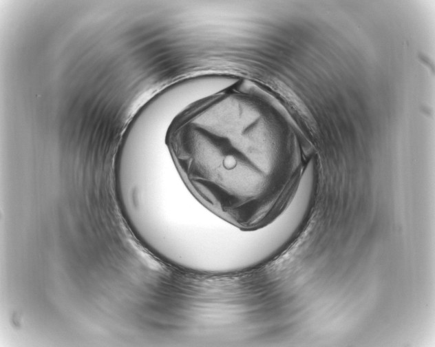 X0000093260842200710241332