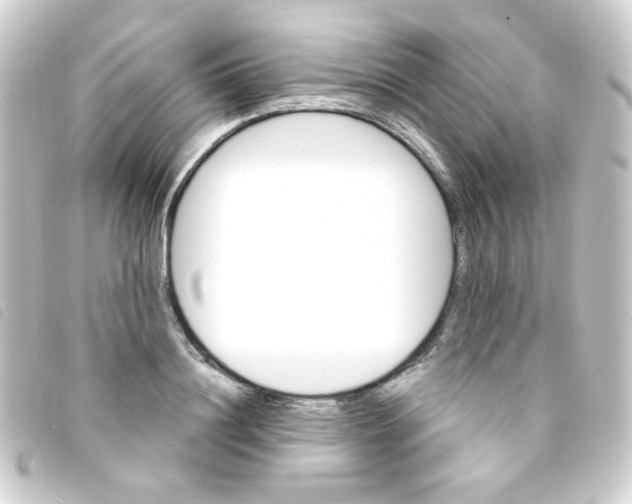 X0000093260844200710241332