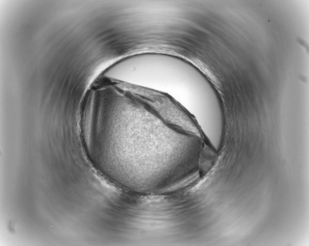 X0000093260846200710241332