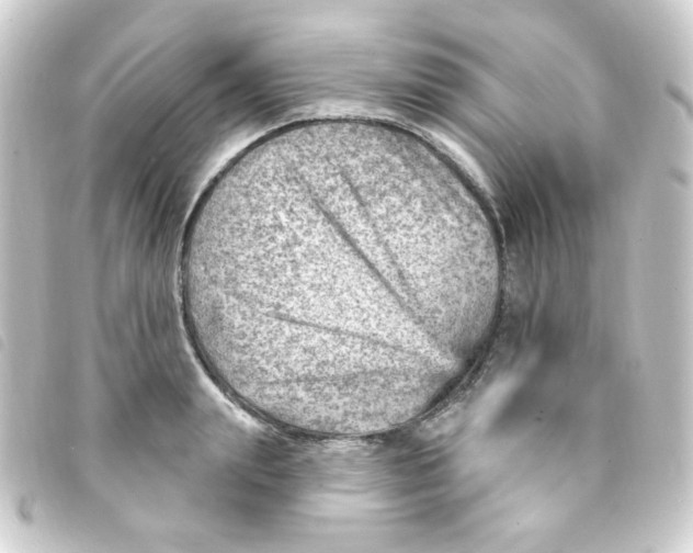 X0000093260847200710241332