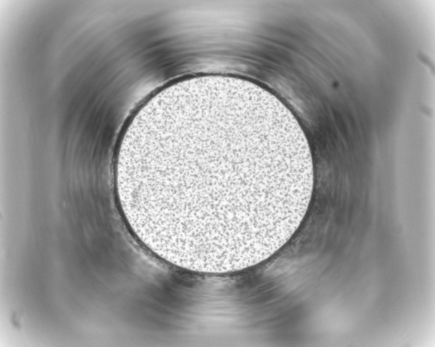 X0000093260848200710241332