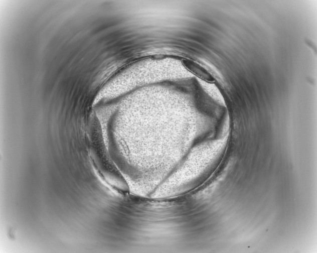 X0000093260849200710241332