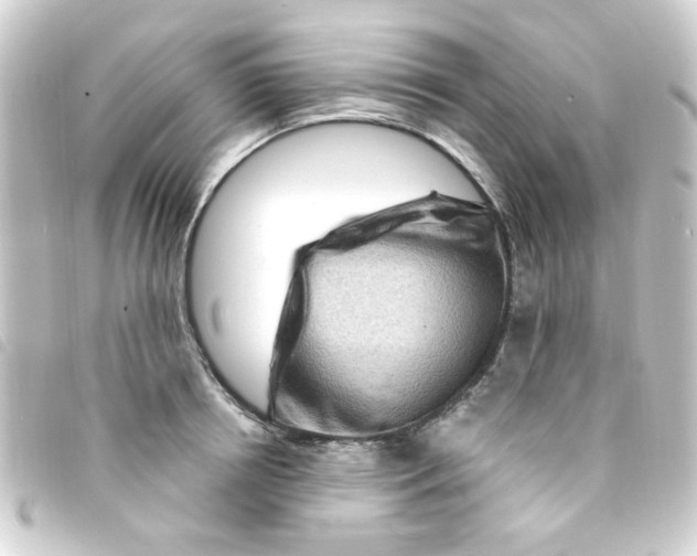 X0000093260850200710241332