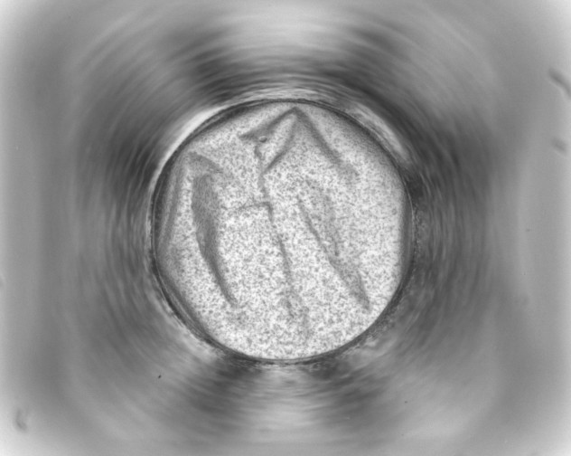X0000093260852200710241332