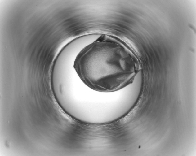 X0000093260854200710241332