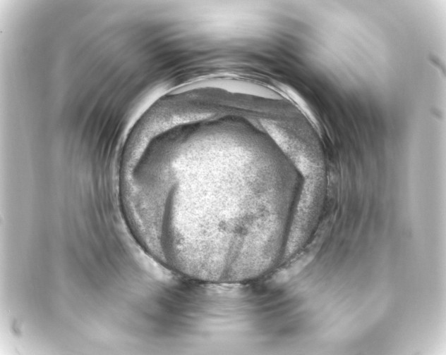 X0000093260859200710241332