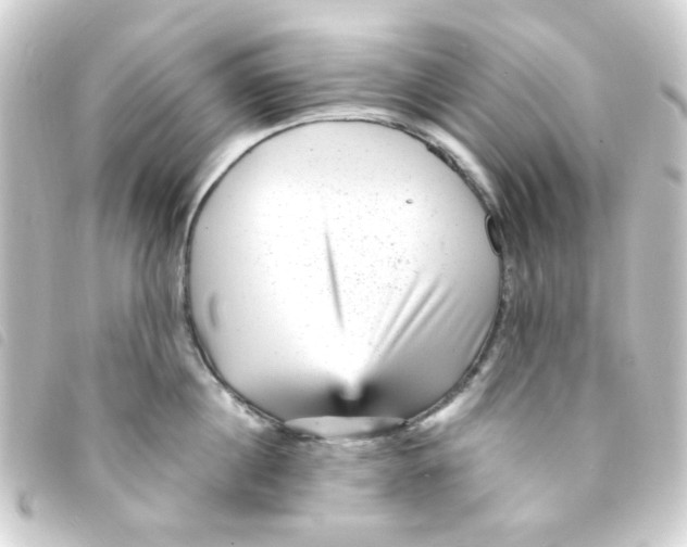 X0000093260860200710241332