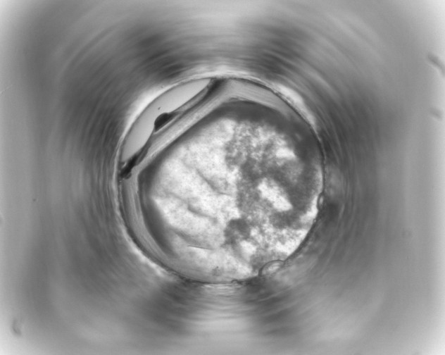 X0000093260863200710241332