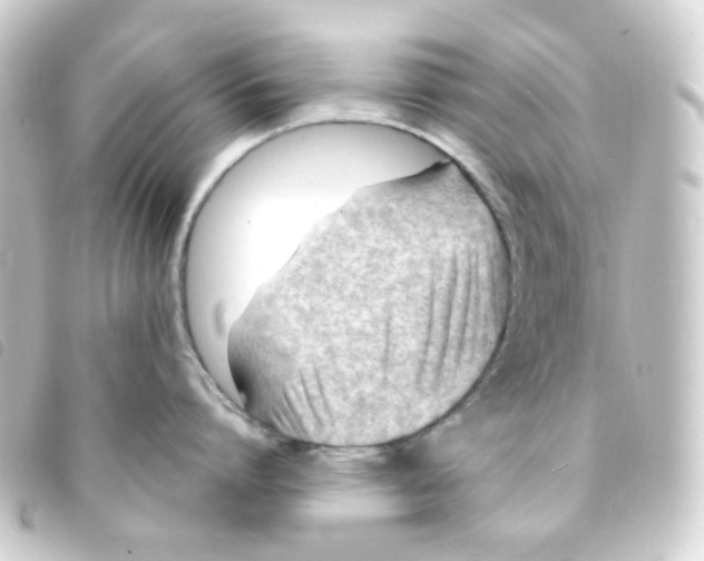 X0000093260864200710241332