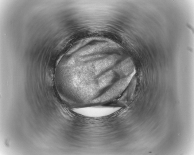X0000093260868200710241331
