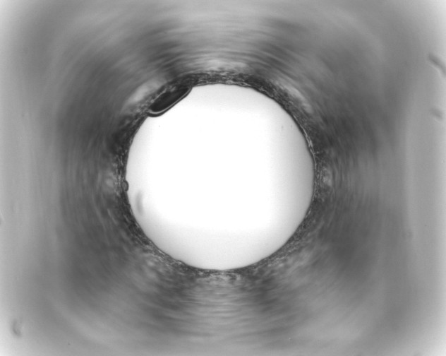 X0000093260869200710241331
