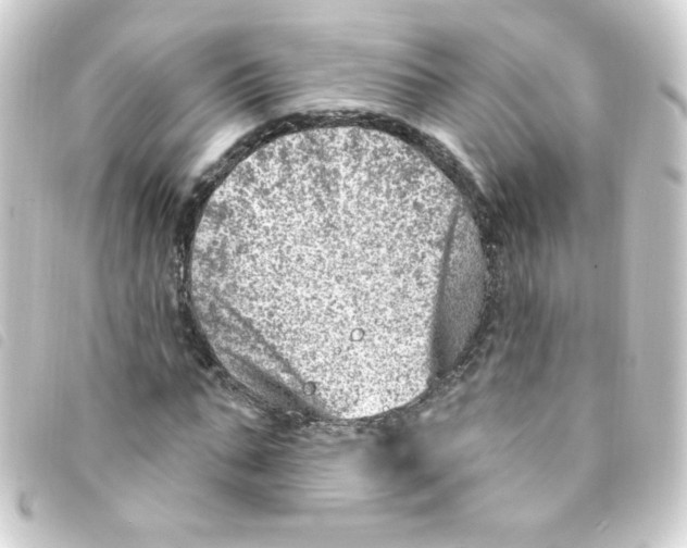 X0000093260871200710241331