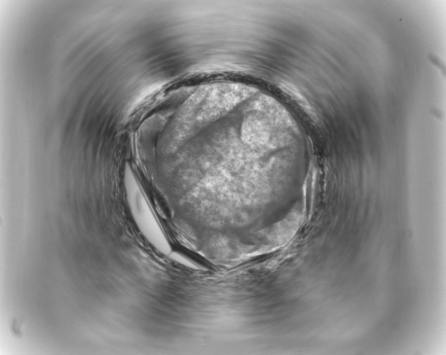 X0000093260872200710241331