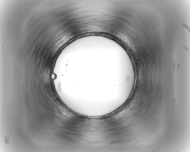 X0000093260873200710241331