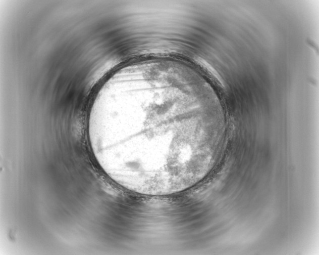 X0000093260874200710241331
