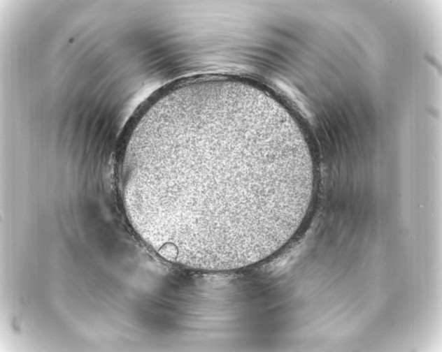 X0000093260875200710241331