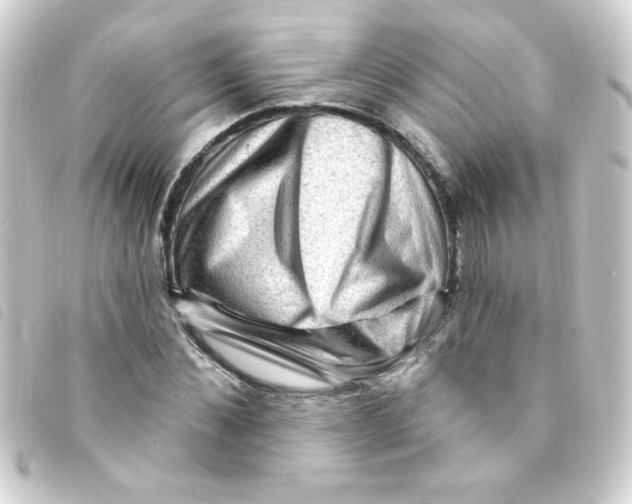 X0000093260876200710241331