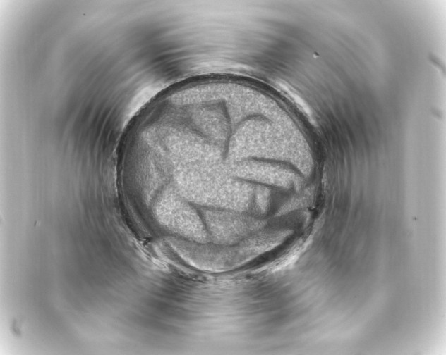 X0000093260877200710241331